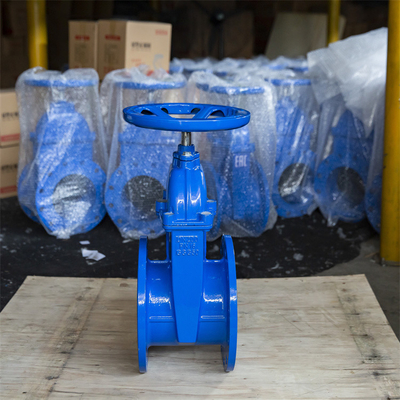 Elastischer Seat Schieber-duktiles Eisen DN50 flanschte Epoxidbeschichtung des Doppelt-PN16